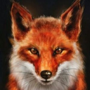 Meet your Posher, Foxxxking